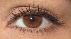 Christine – ordet er dit – REVIEWS af to UNE-produkter