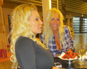 Fra antropologi til plastikkirurgi