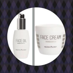 1.søndag i advent – tæl til hund