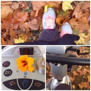 Søndag i gule blade