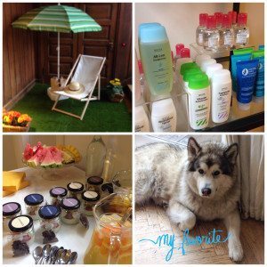 Dagen idag med regndråber og sol indeni