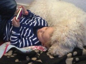 Jeg er så træt af min hjerne