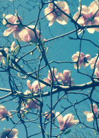 Helena Christensen og Look Good Feel Better