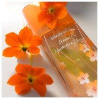 Green Tea Nectarine Blossom