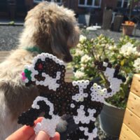 Fem billeder med ord