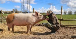 Først var der Blop, så Fjolle – og de er her begge endnu
