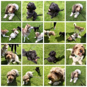 Fra smertedag til hjertedag