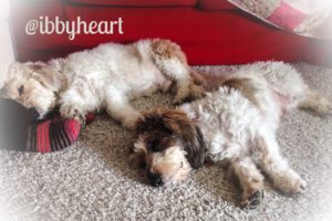 Om burde, et helt halvt år og hvad så?