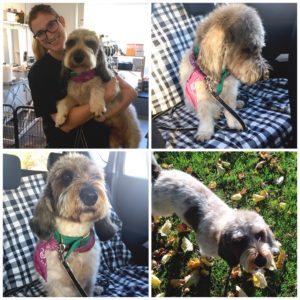 Flotteste frisure på den flotte fyr