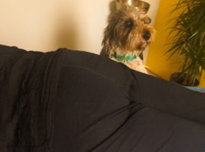 Klangmassagen fortsætter, mere klang – dagen lang