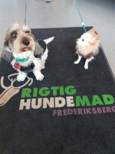 Gode hundegodbidder – tre pakker for en hund
