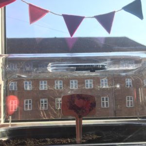 Våde ærteblomster og kåde snuder