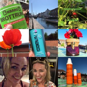 Kære maj med sol – jeg beundrer dig