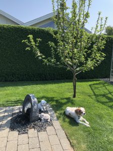 Oscar, en fantastisk storebror siger farvel