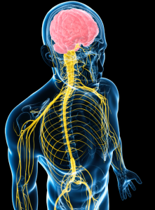 Når jeg besvarer mails om sclerose