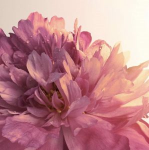 Endnu en vinder af Jurlique