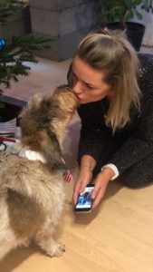 2019 med overvægt eller ligevægt?