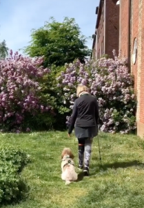 Status nu med en krykke