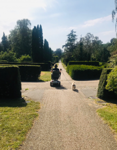 Hvorfor kan du ikke lide festival?