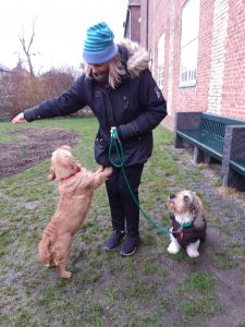 Enebarnet med en mor, der elsker mange