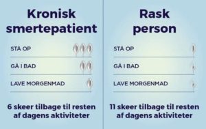 Hvor mange skeer bruger I?